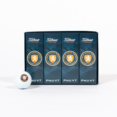 Golfbollar 12-pack